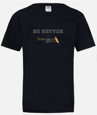 Be BETTER Men's T-Shirt, Black, Medium